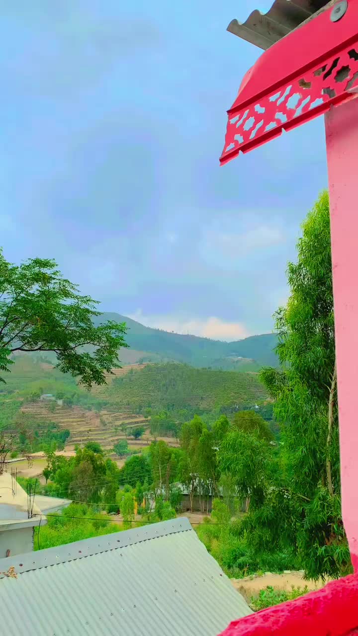 @عمر آفریدی