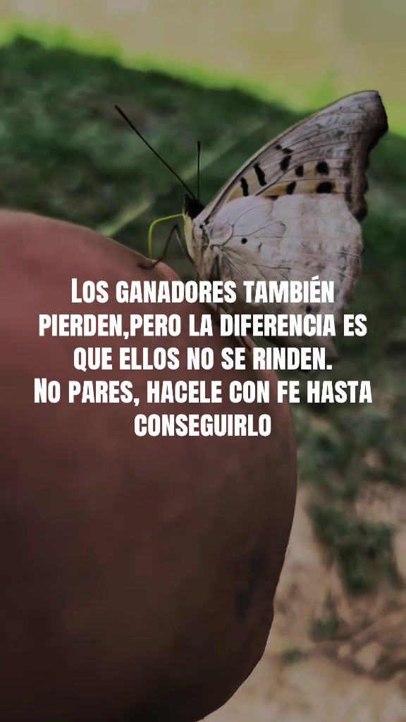 @Santiagoarenas___