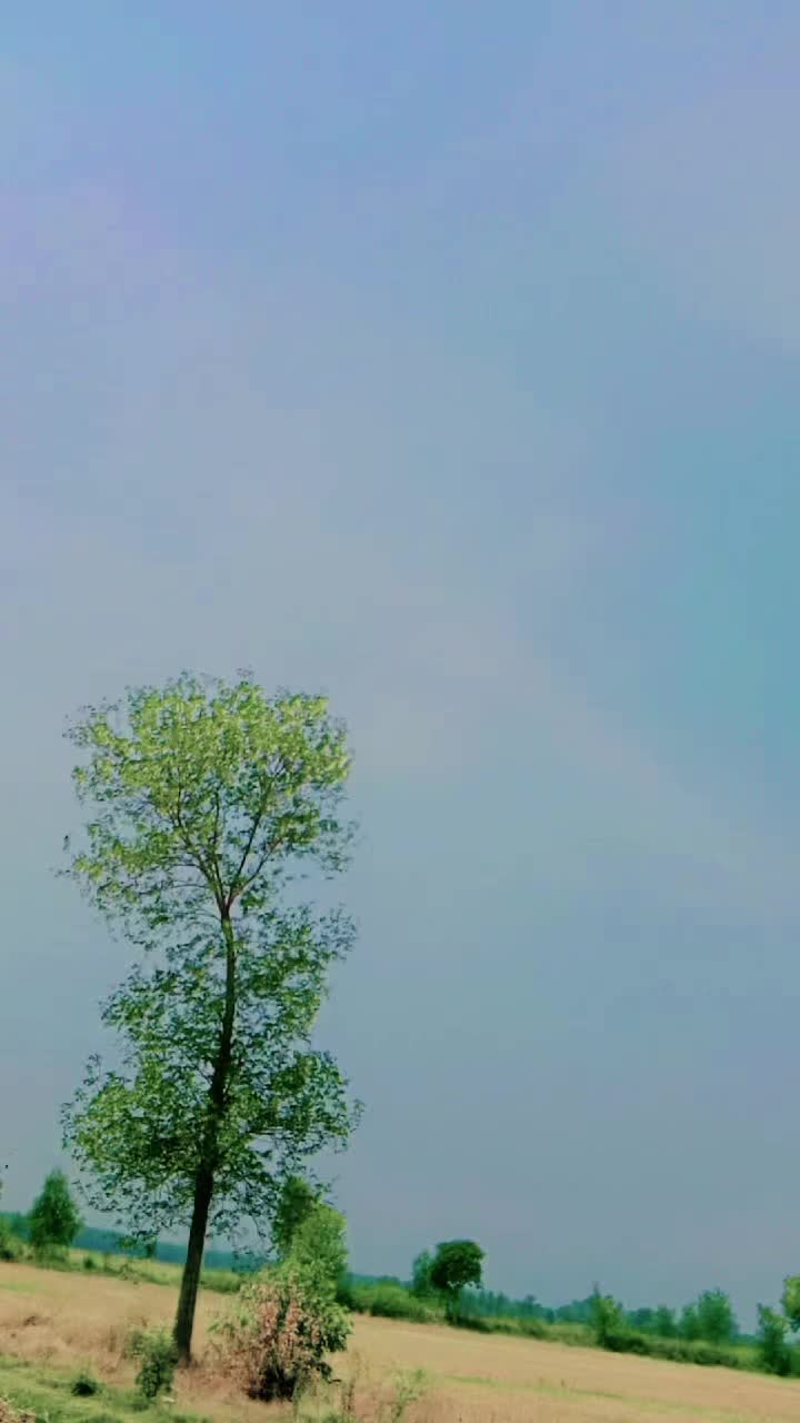 @farooqabbas517