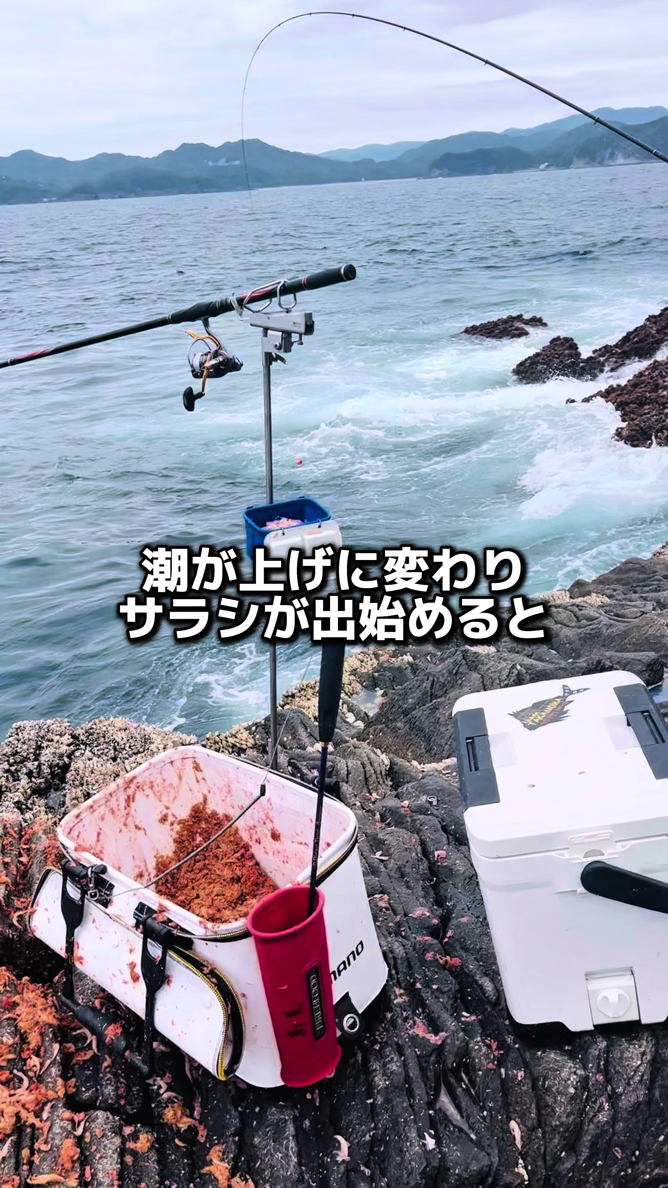 @チヌチヌ🐠