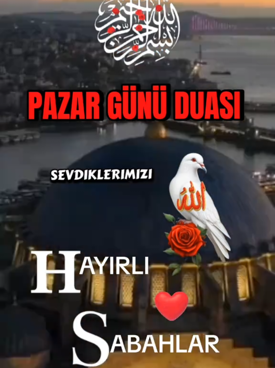 @☪️⃝🤍KIRGIN KALPLER☪️⃝🤍
