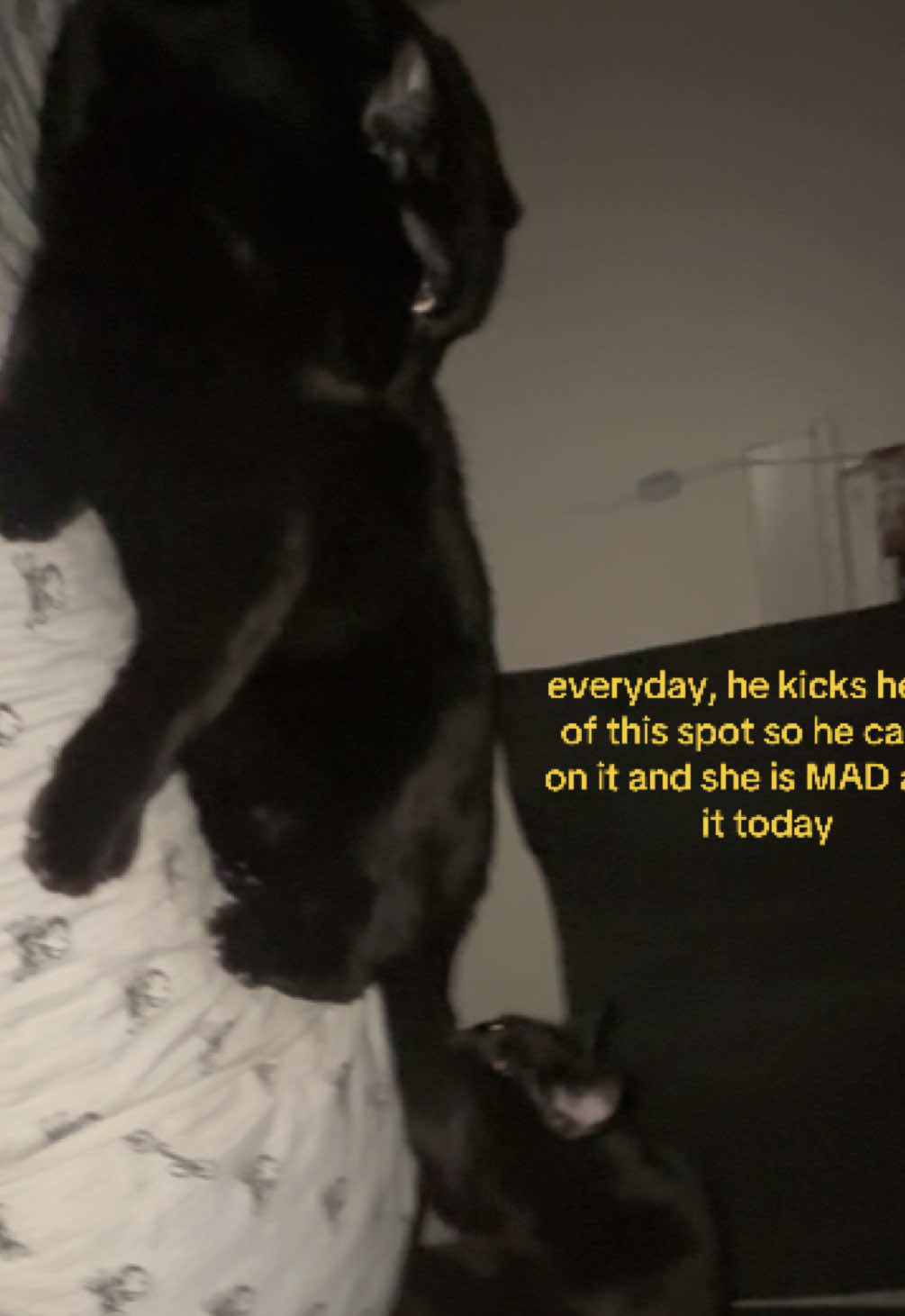 @;-;