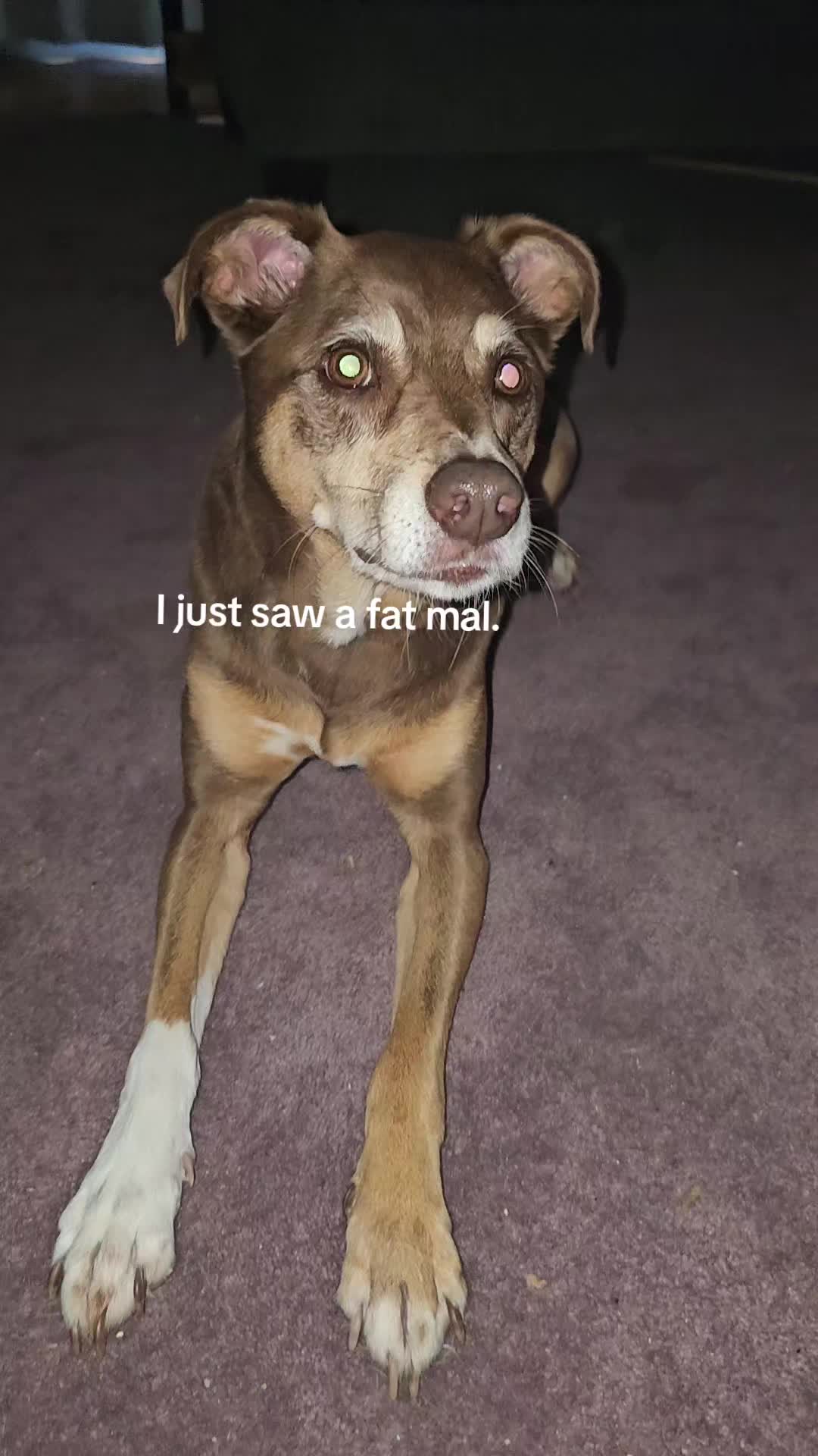 @that dumb little shit