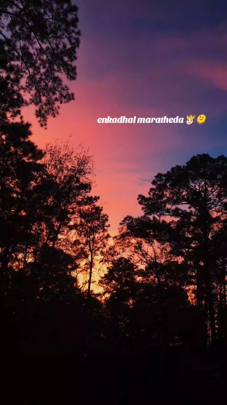 @_ℑ𝔰𝔥𝔞_❤️🩹