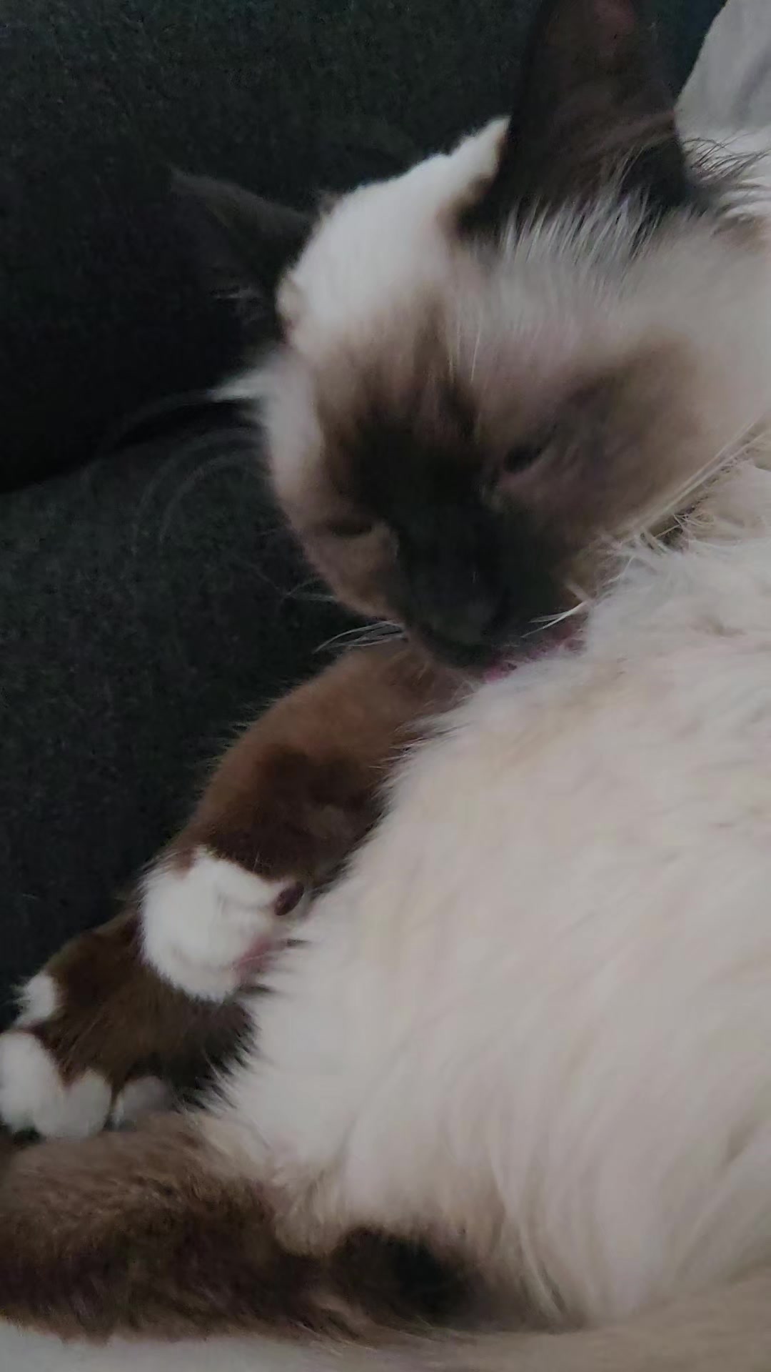 @Léo & Suki ♥️