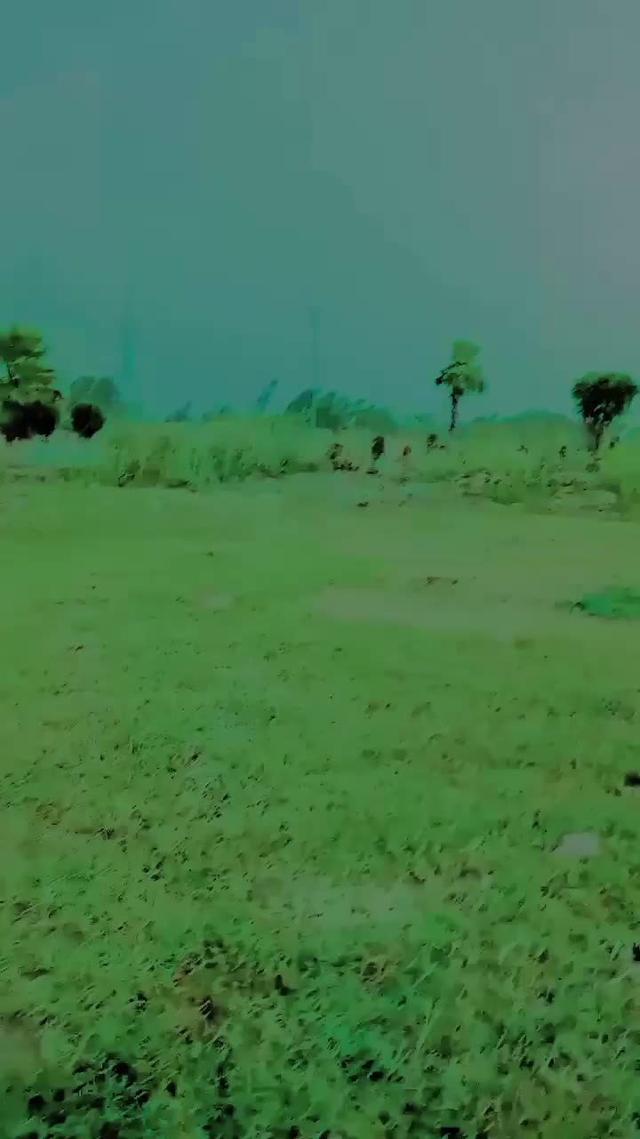 @👑🥀🥀 TikTok ❤️🩹Star 🥀🥀👑