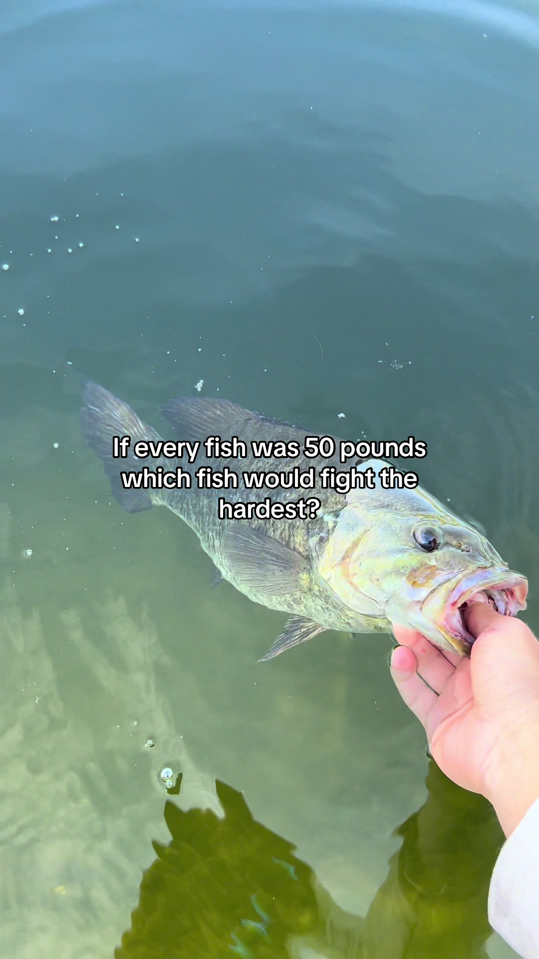 @trk.fishing