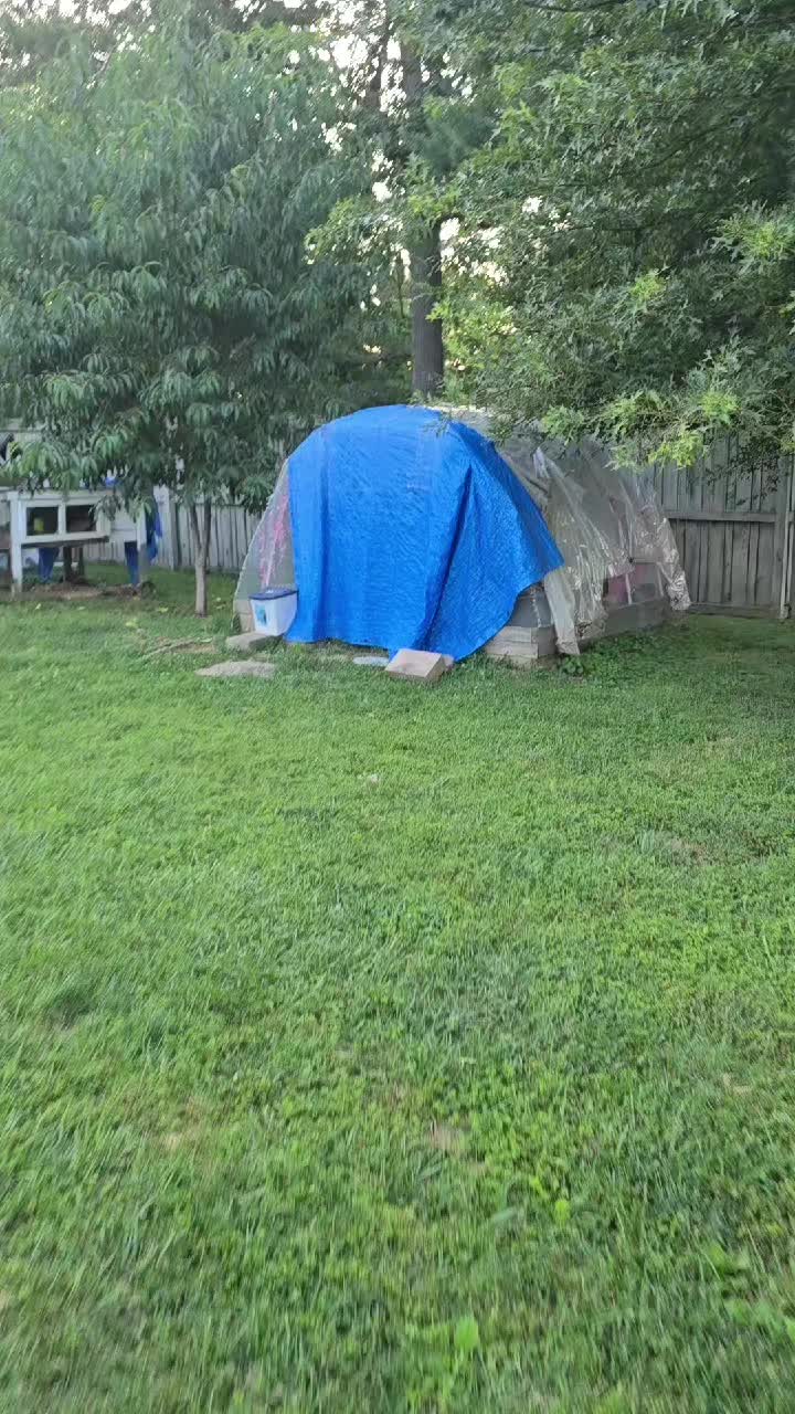 @ActiveMommy