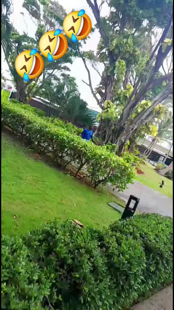 @💛Mazoon💛🇱🇨🇺🇸(OTR)
