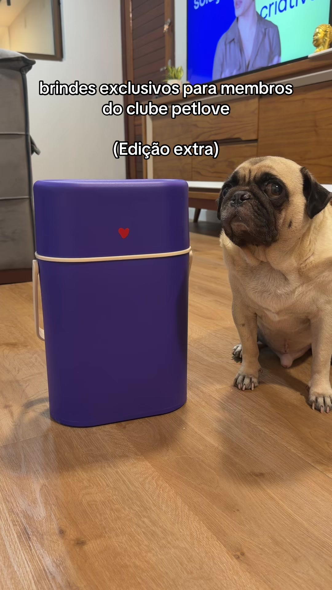 @FRANKINHO