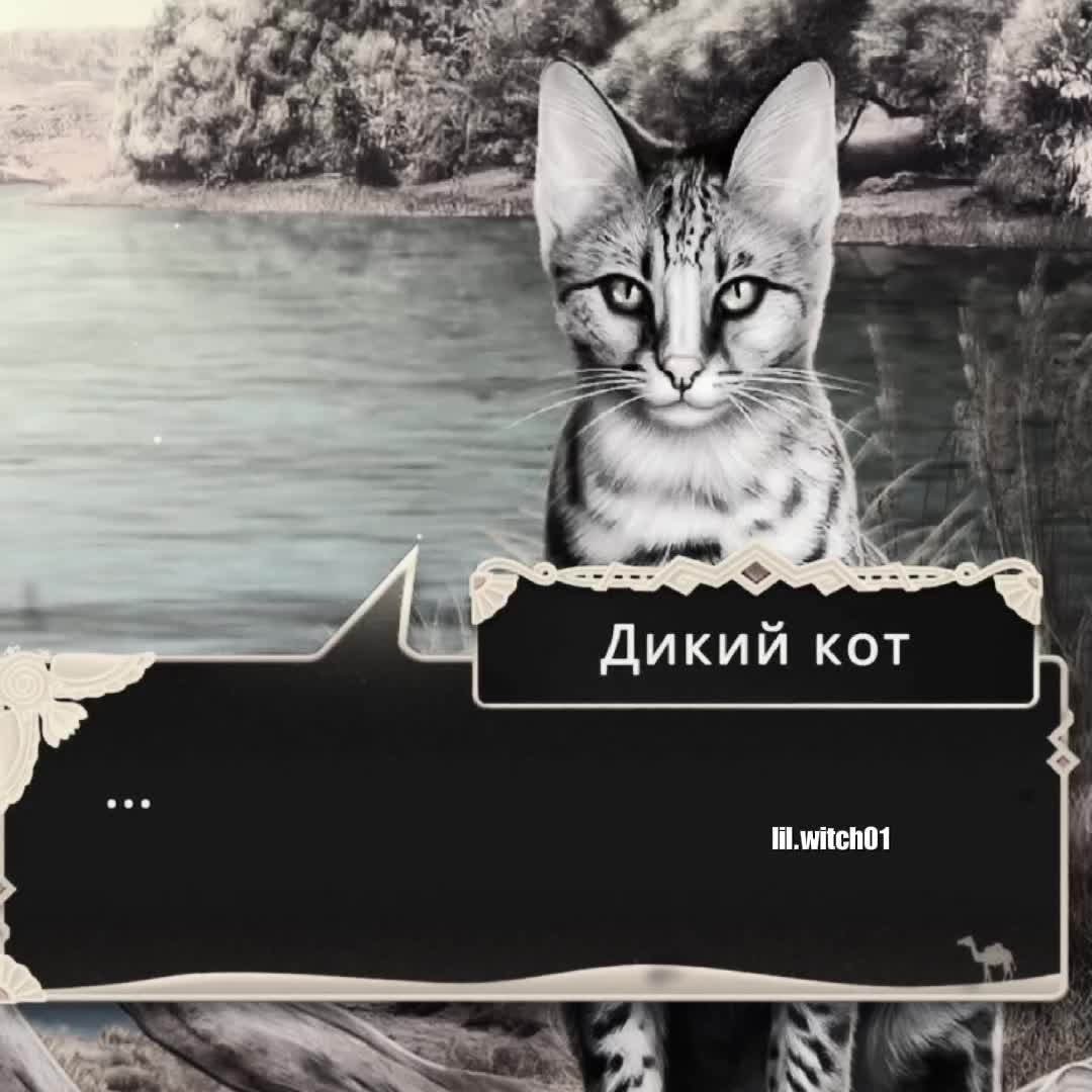 @ведьмочка