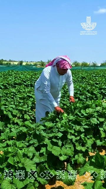 @بلدية محافظة القطيف