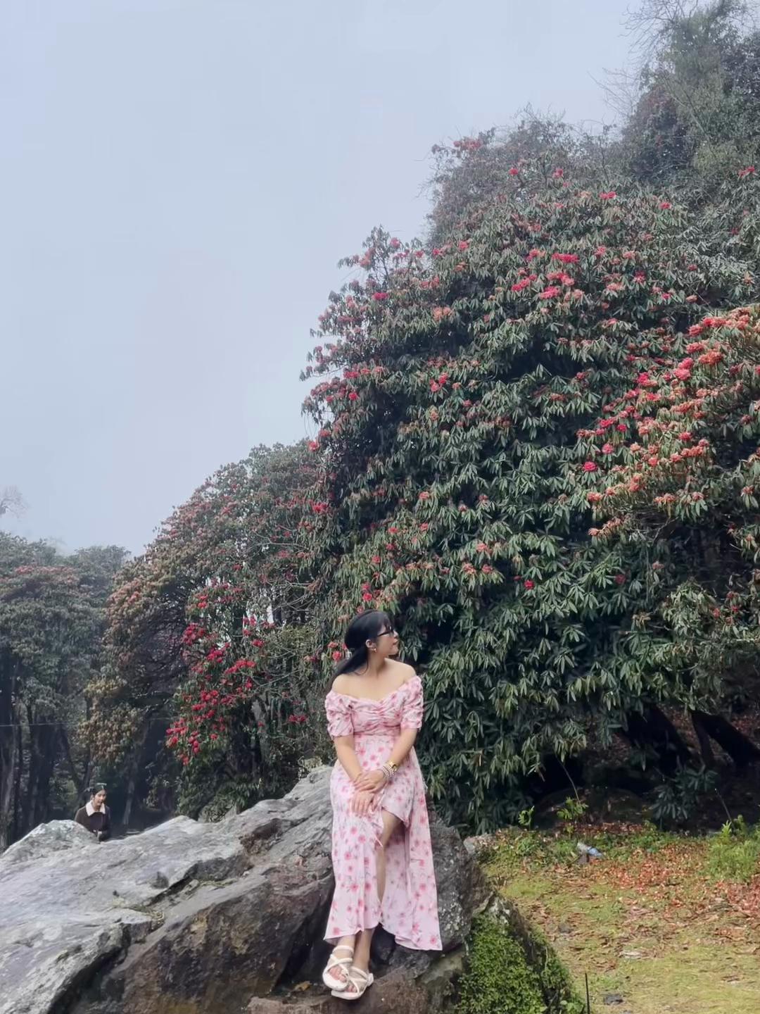 @Nishu 🧿