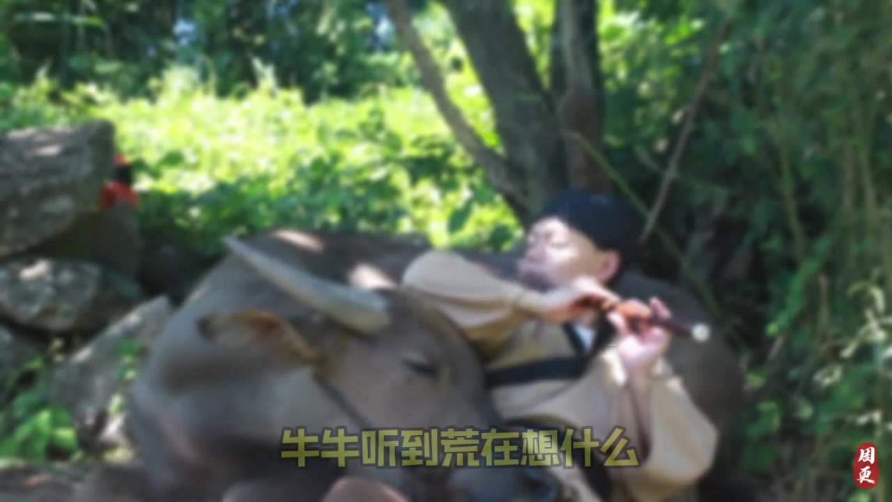 @🎋爱竹笛 Đam Mê Sáo Trúc 🪈