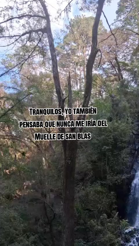 @Yad