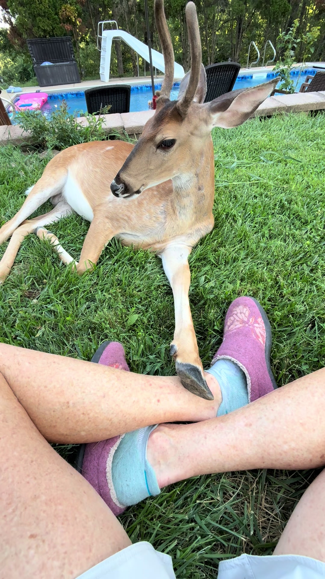 @Brownhikingtrails