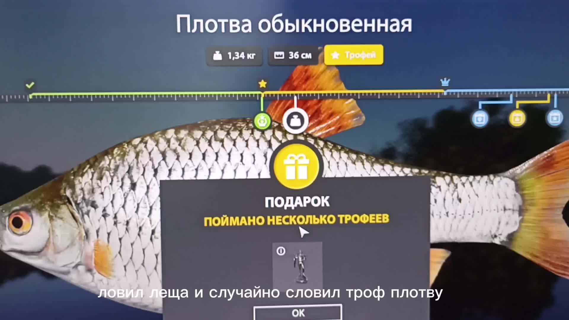 @кот на поплавок