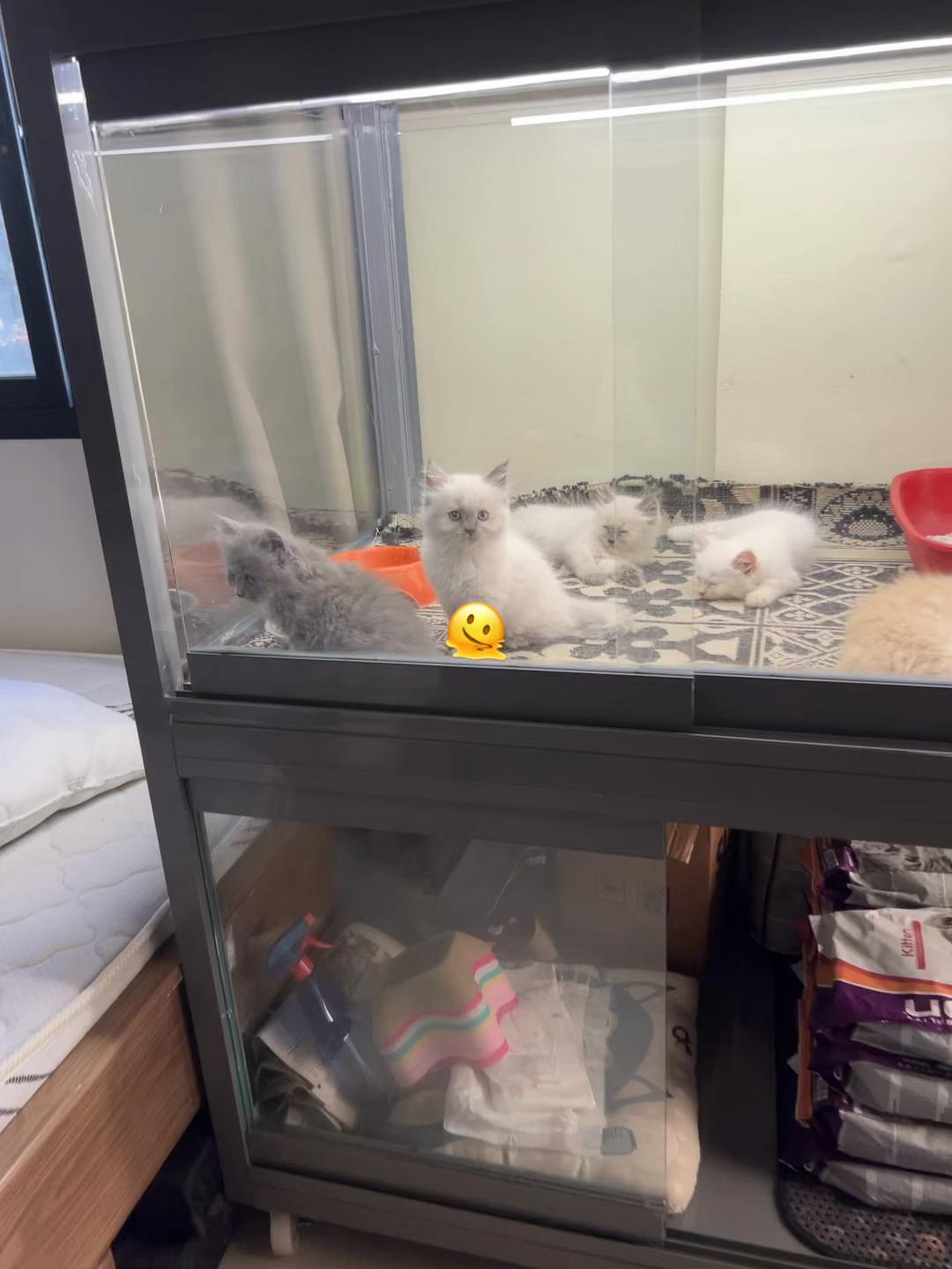 @pets.passion1