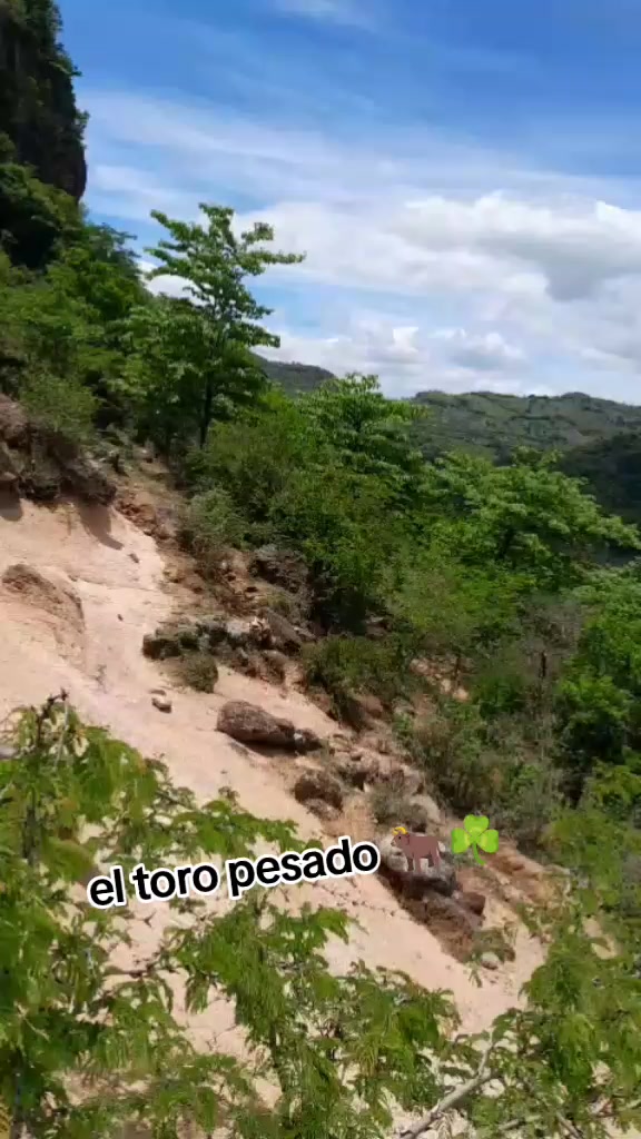 @el toro pesado 🐂☘️