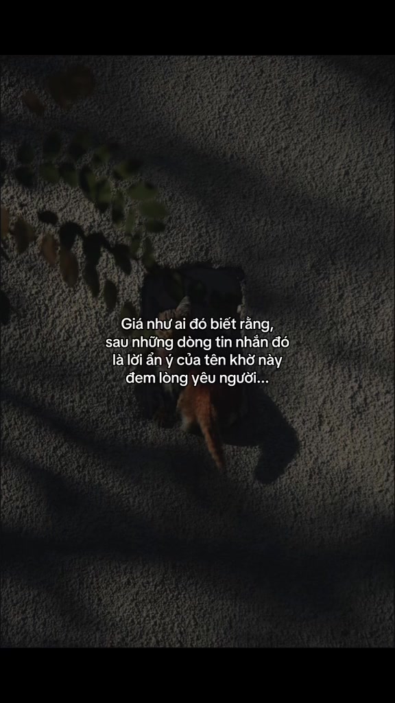 @👤