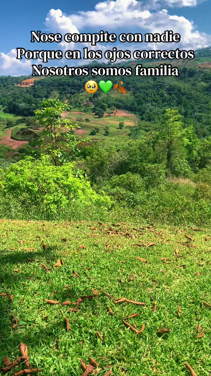 @🍂💚