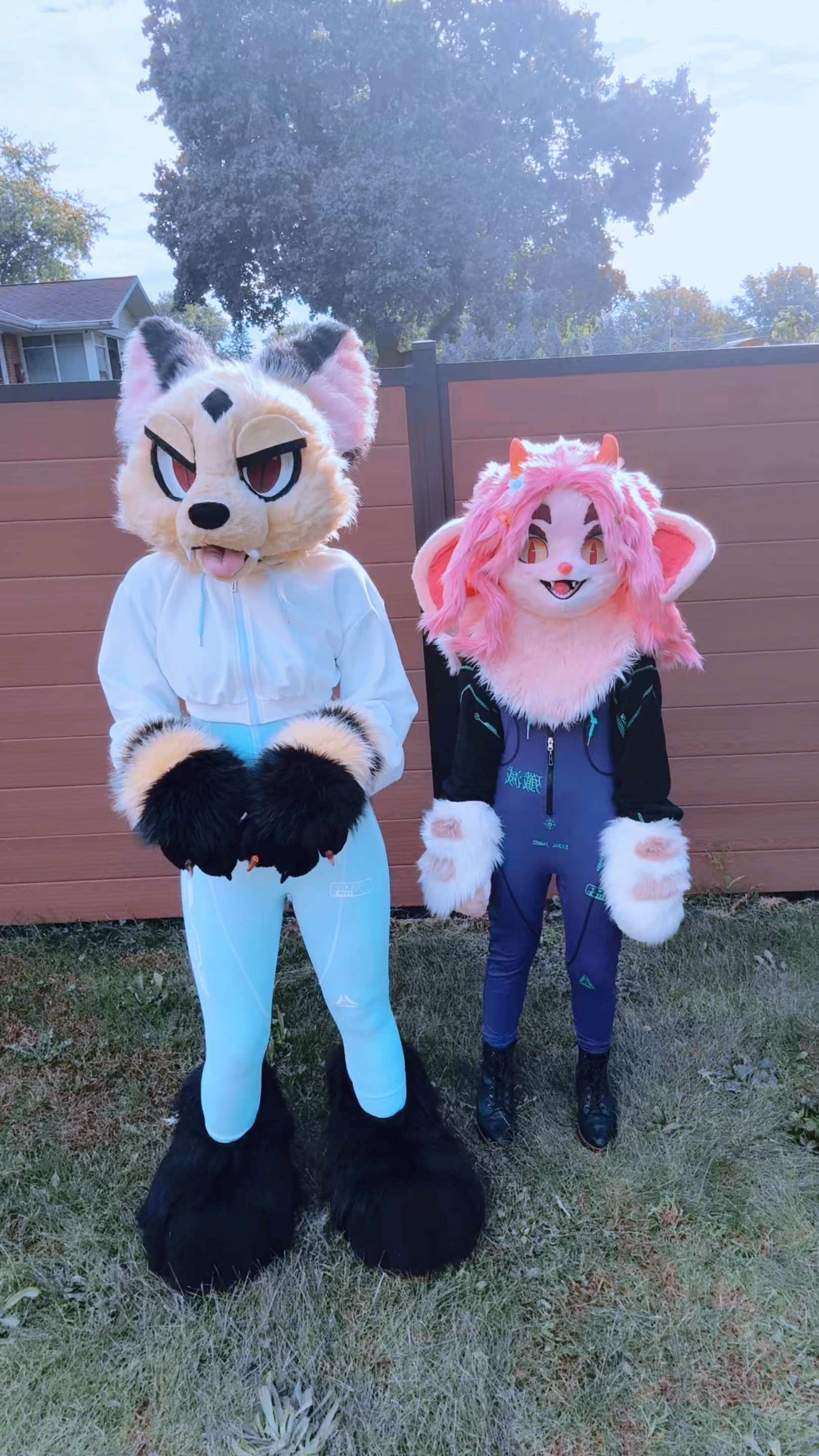 @Kirara🩷🌸