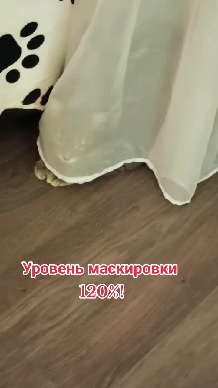 @user2278096979685