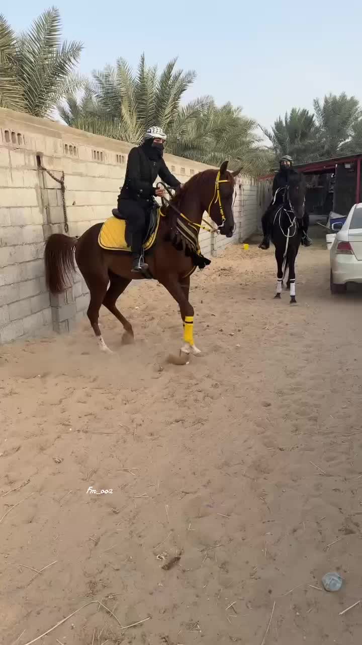 @فَآطُمہ صالح 🐎