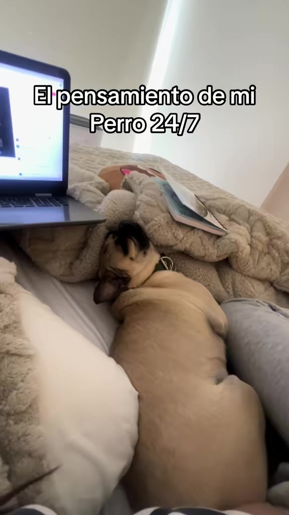 @Alexa&elcarnalchiss