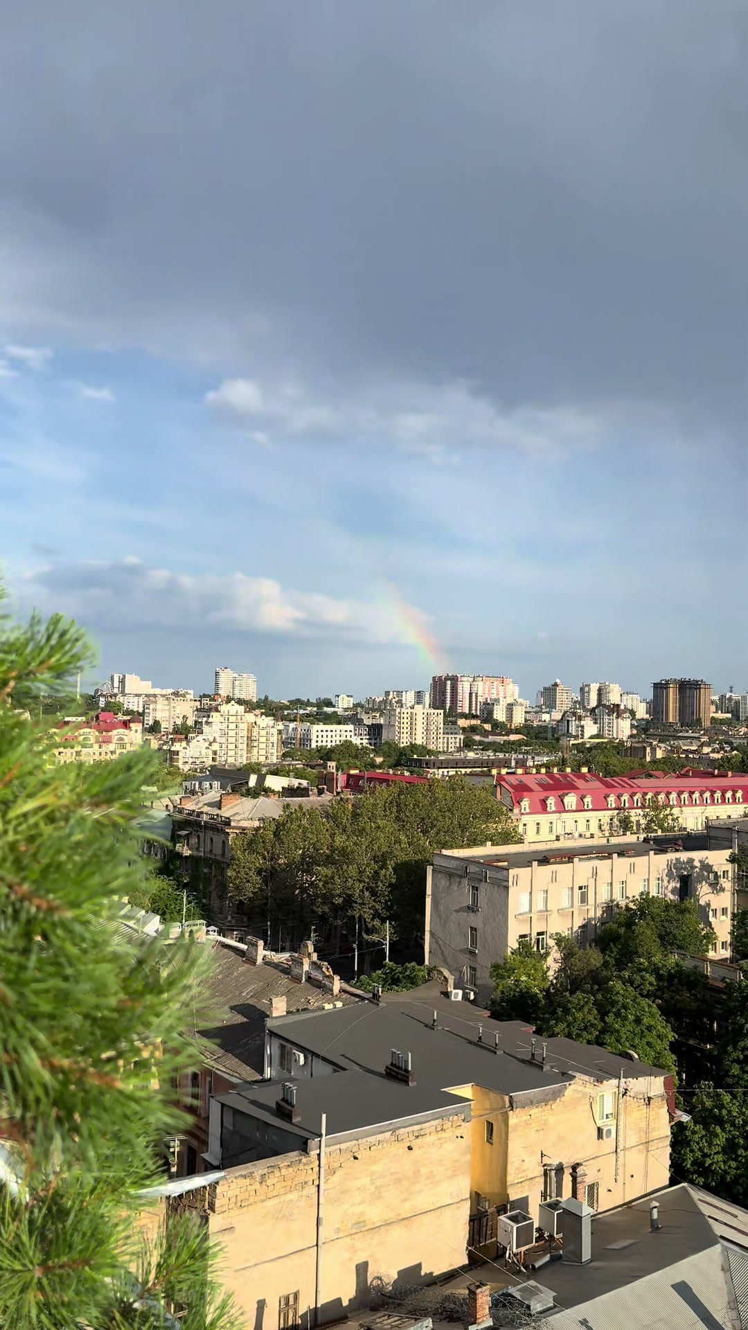 @Диана Герцен ✨
