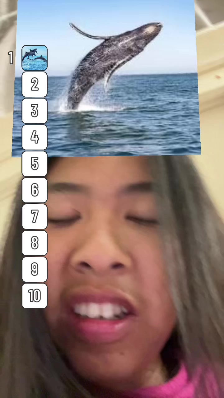 @heretriever101
