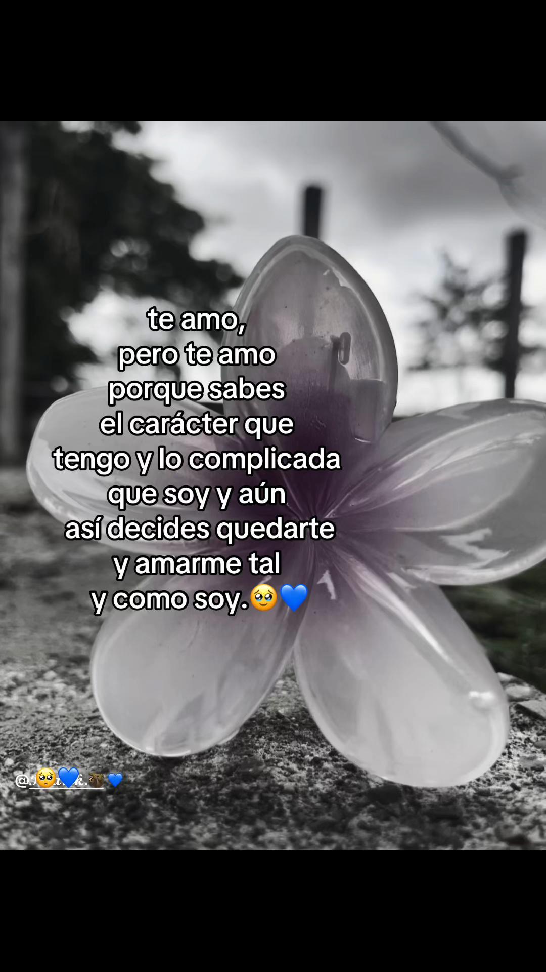 @𝓔𝓿𝓮.ᥫ᭡🍒