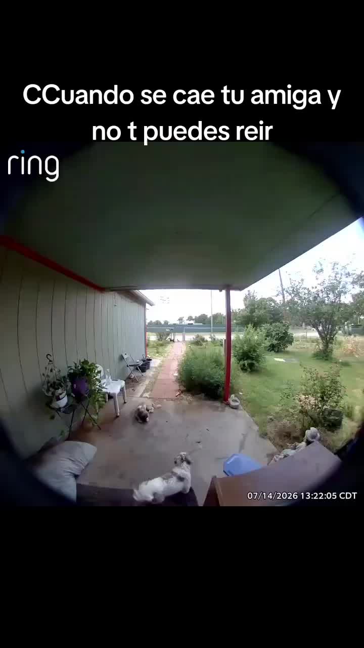 @Margarita M Martinez