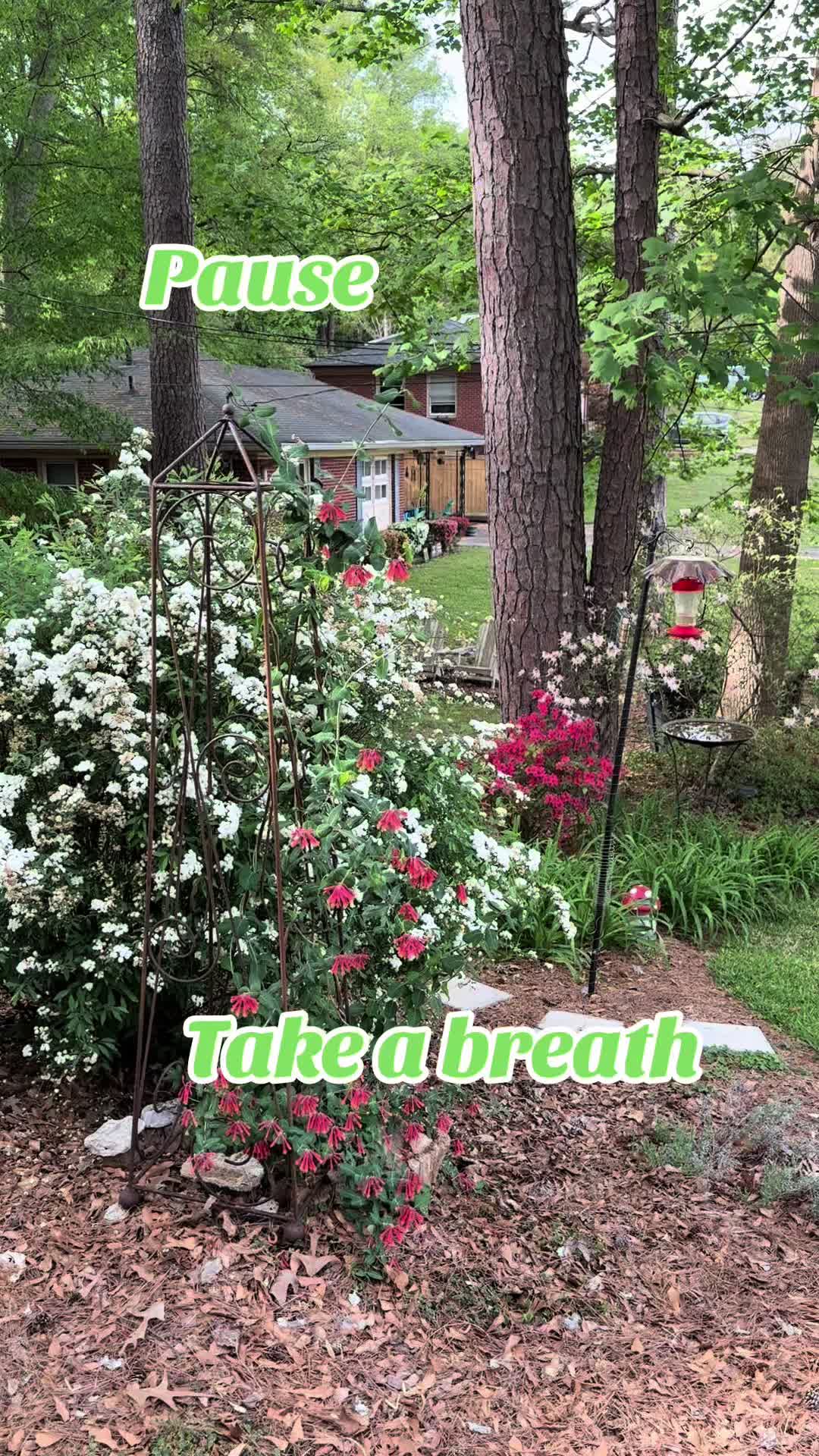 @Tracy@Dream Awake Healing