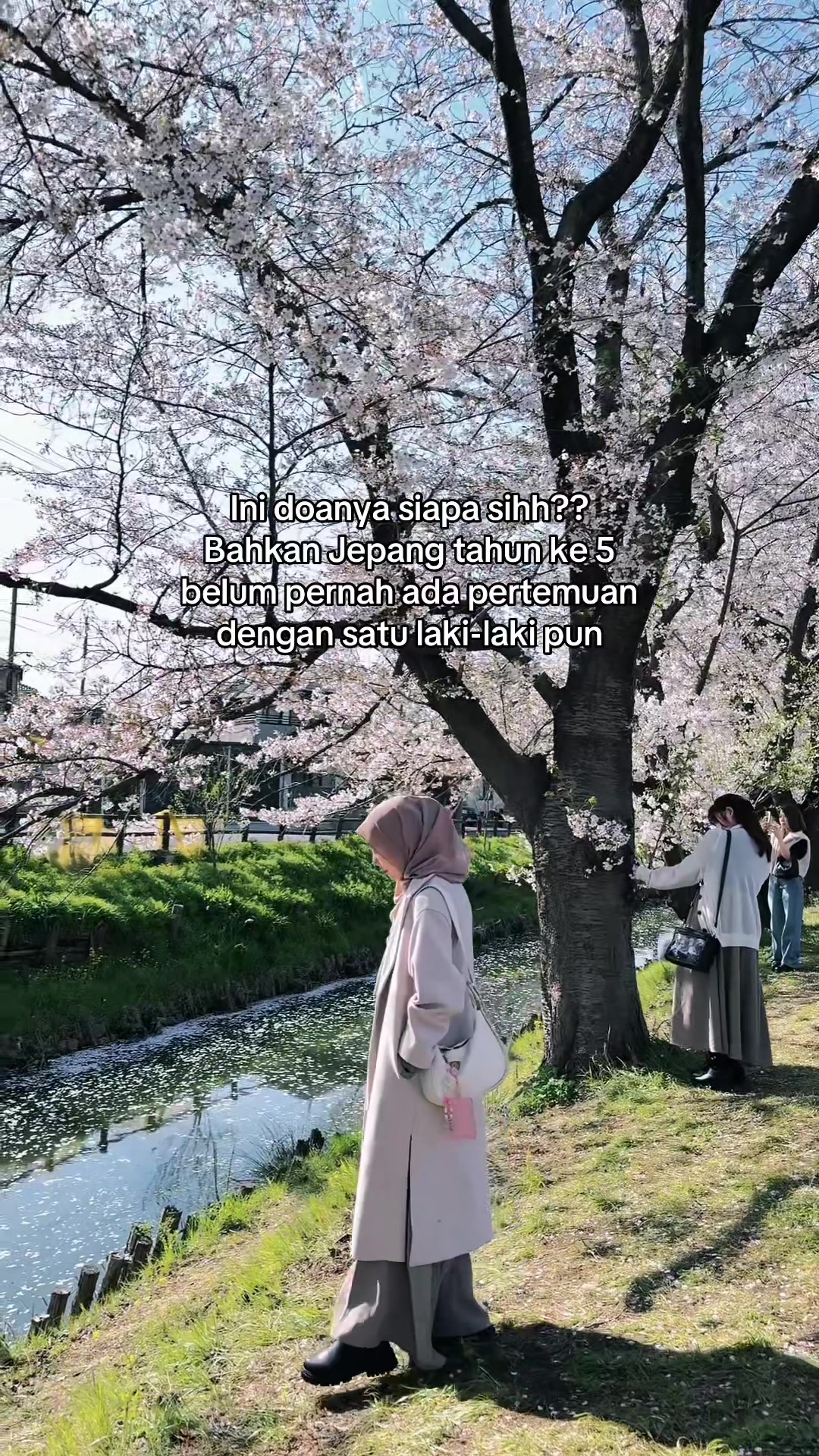 @aozoraaa.__