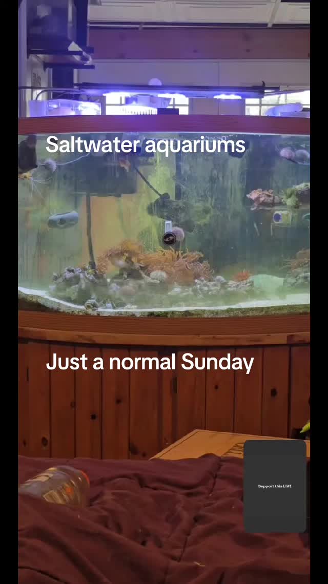 @🐕&zwj;🦺Malvaceae&🐋ulianna🦓🥄♿️