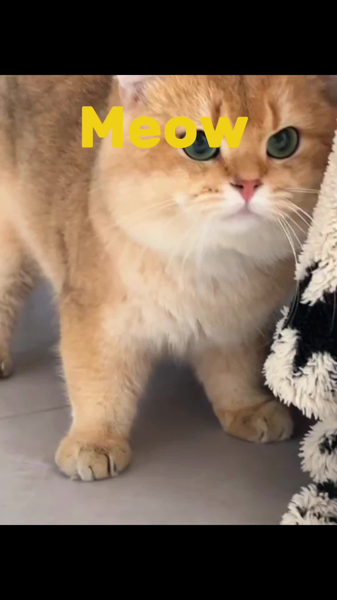 @1+