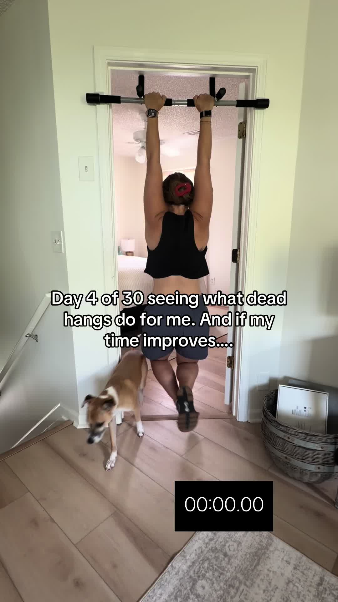 @Meredith 🕷️
