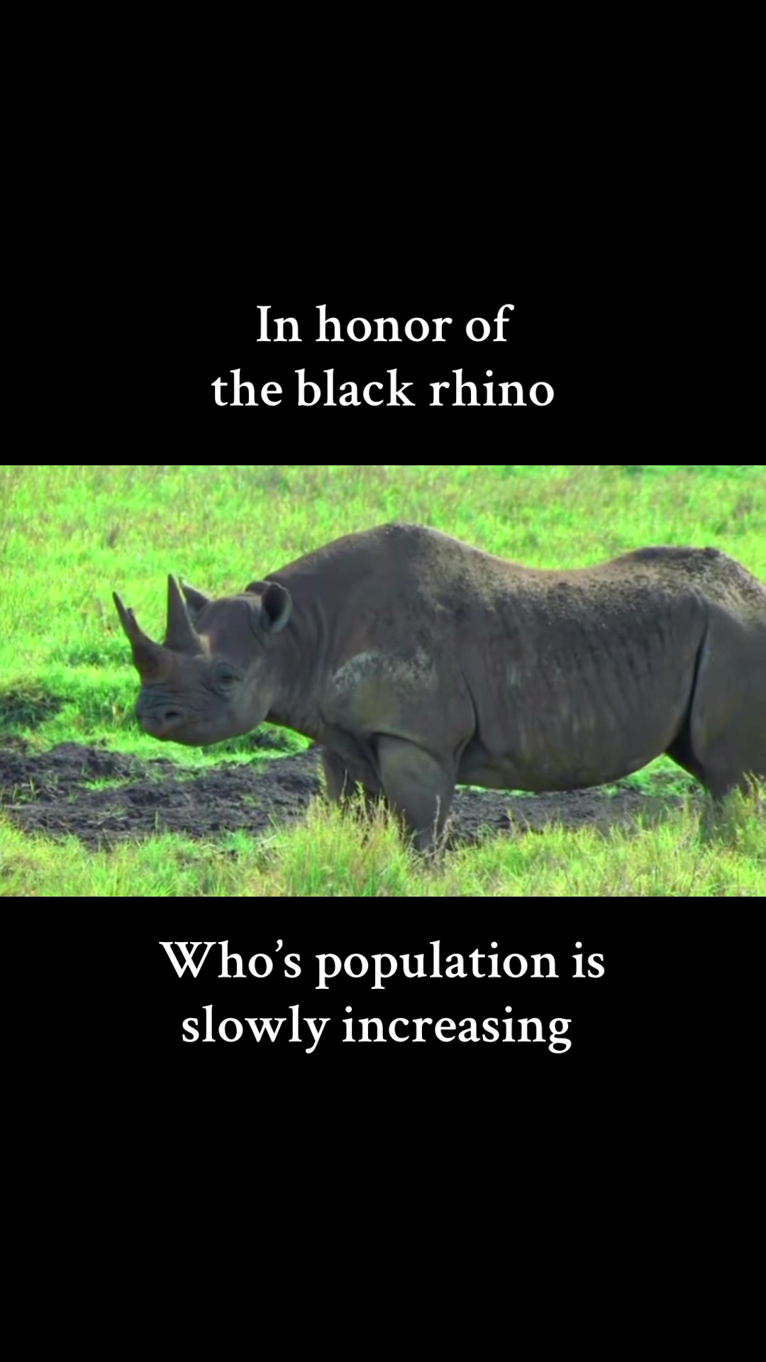 @Soul_searching_for_animals