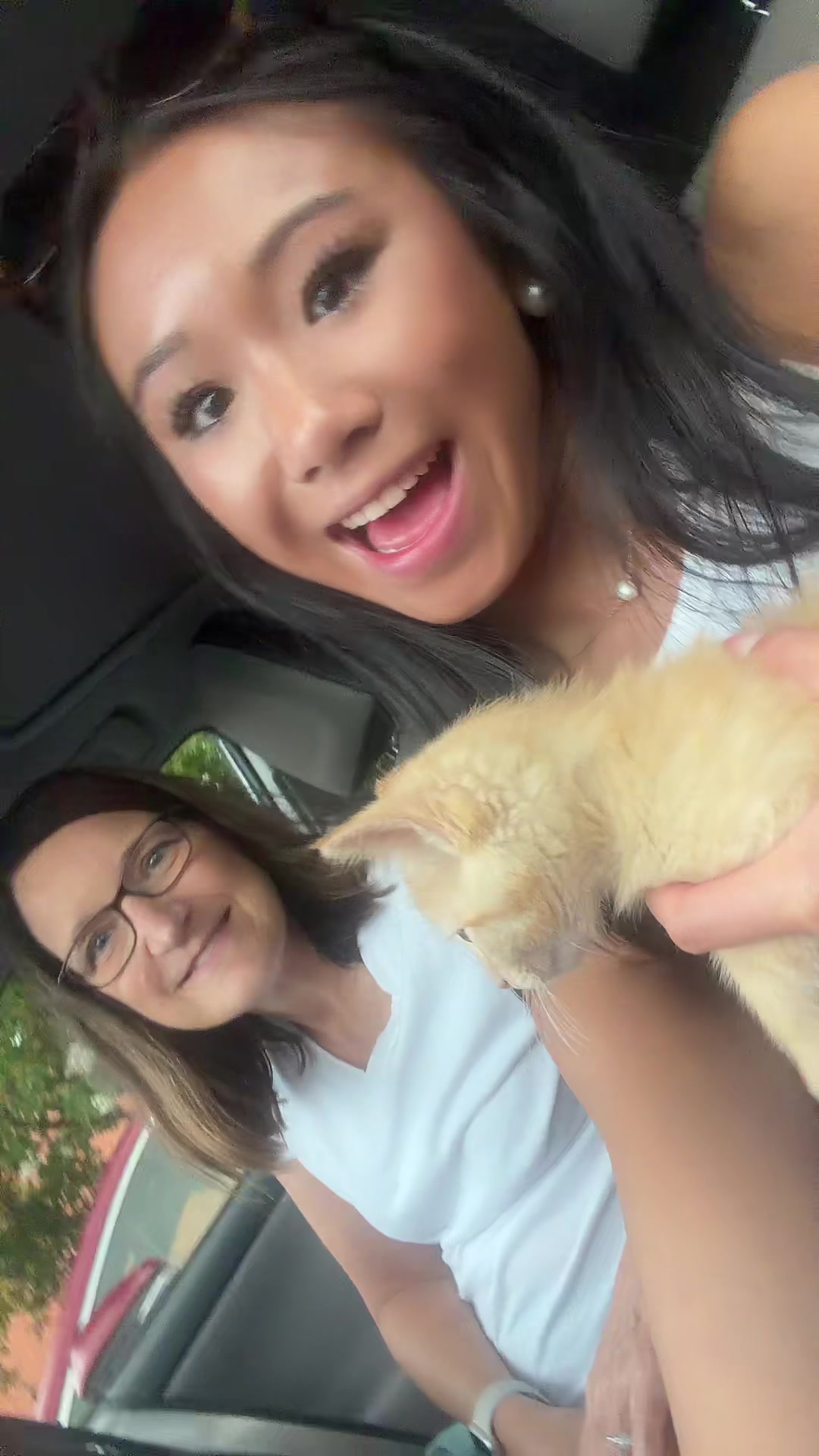 @avalicious