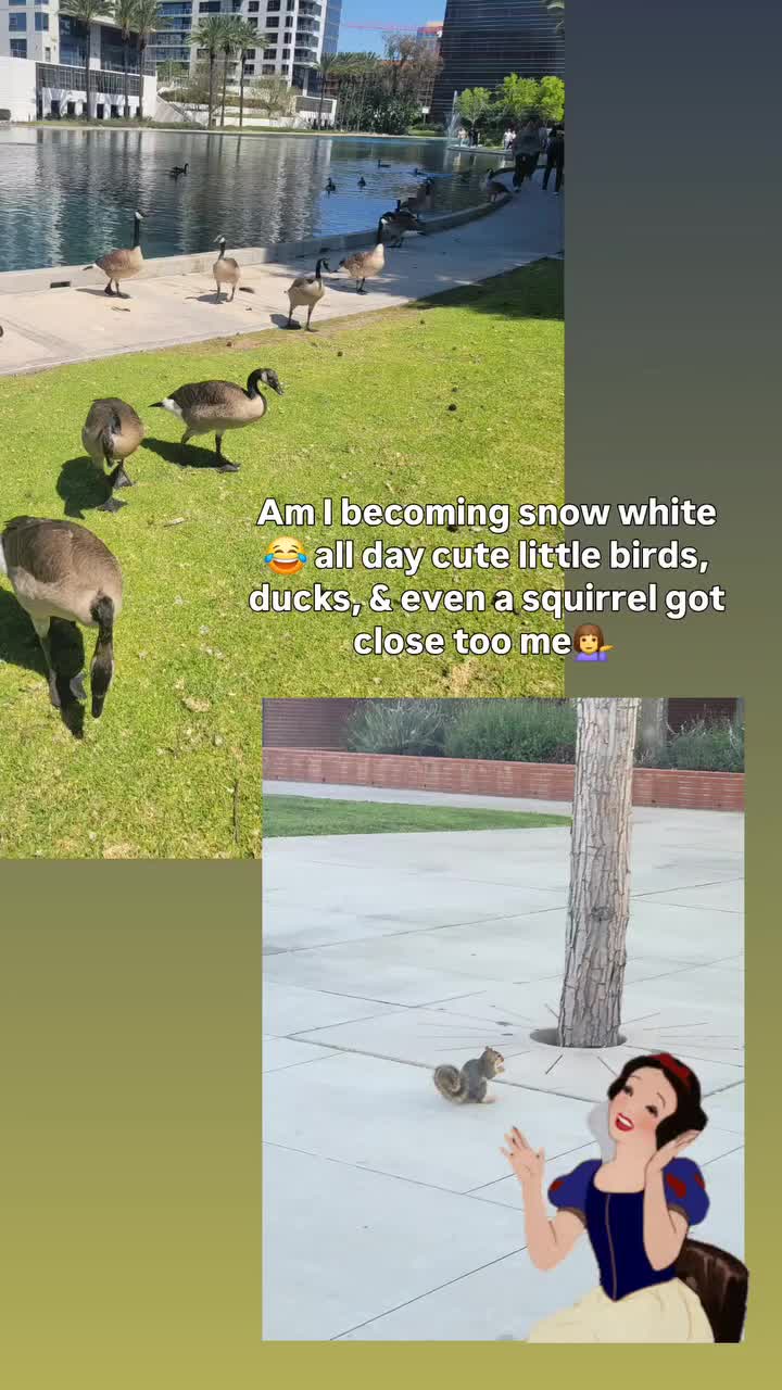 @everydaysteph