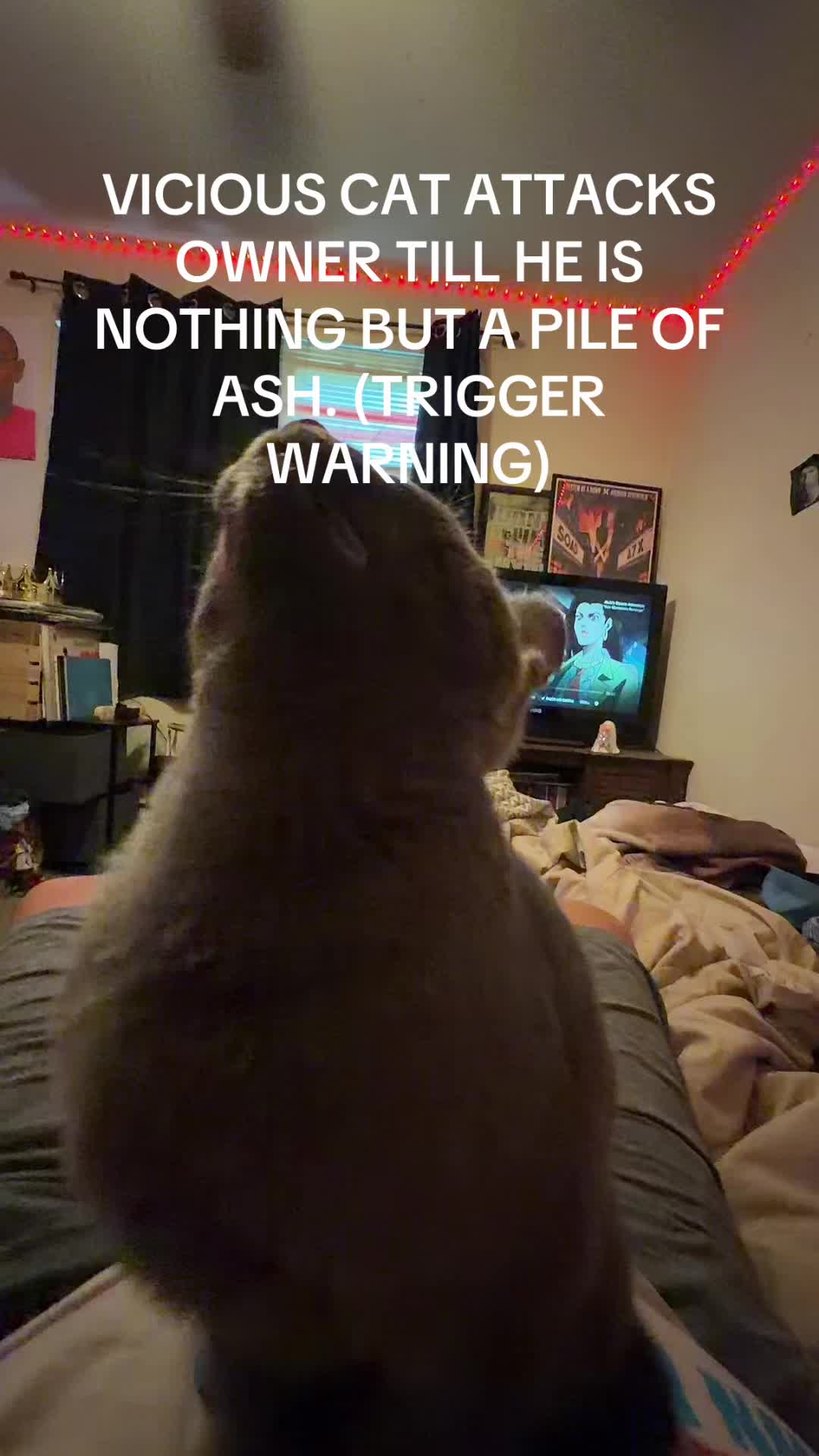 @BigBeefyLoad
