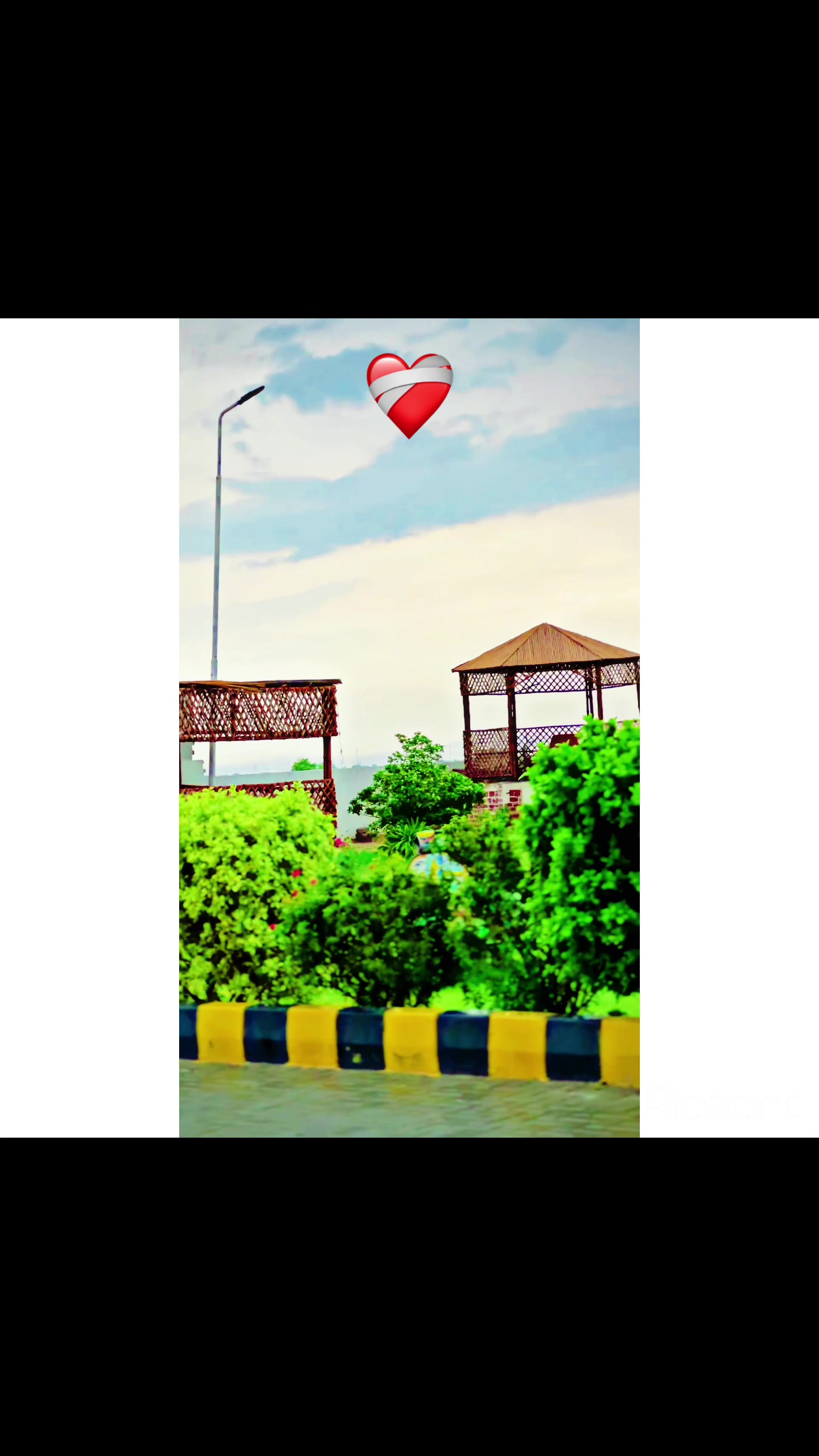 @ray_zeeshan_1001