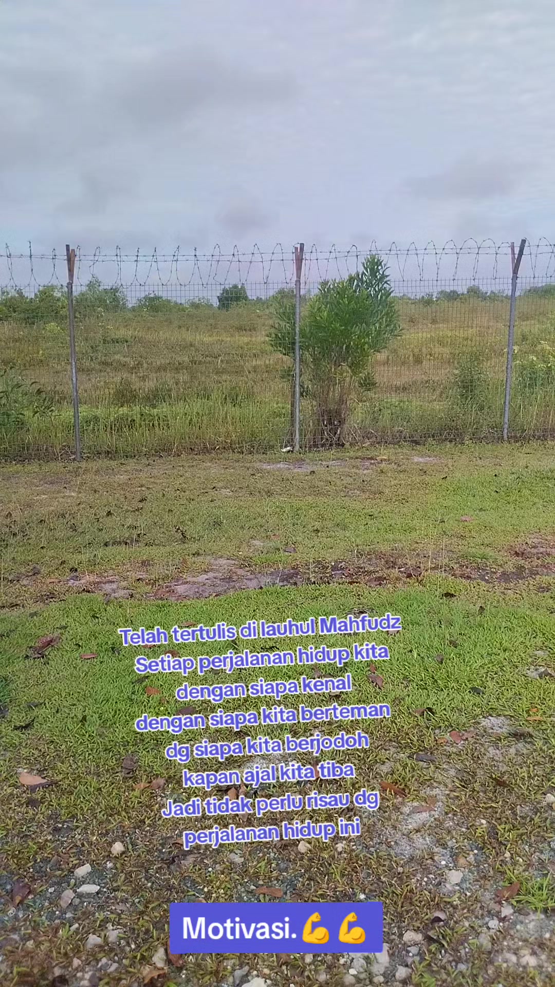 @mahira