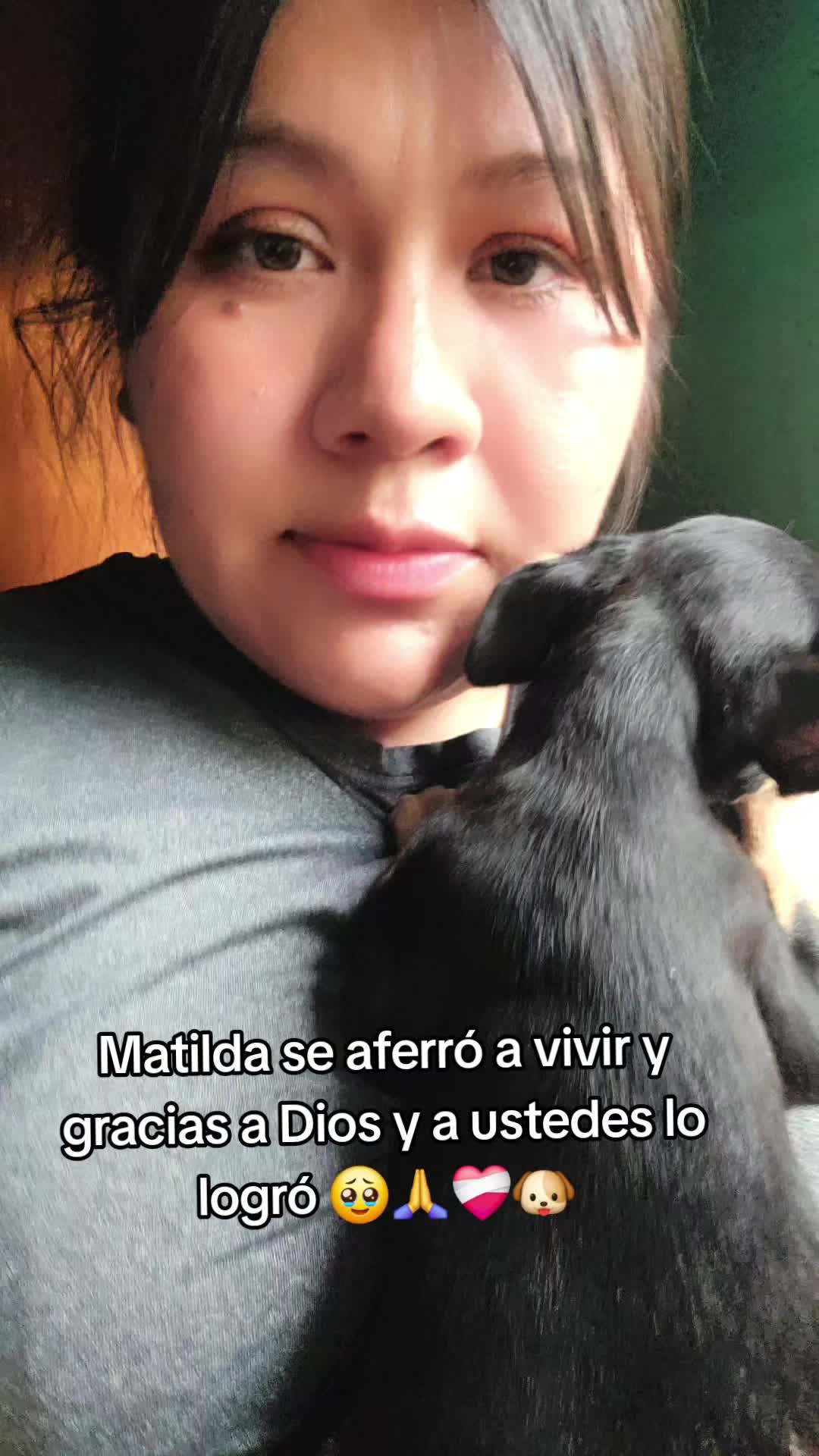 @huellitas de amor 🐾❤️🩹🐶