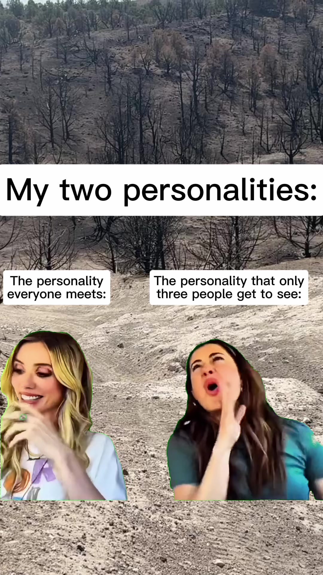 @Shr3k