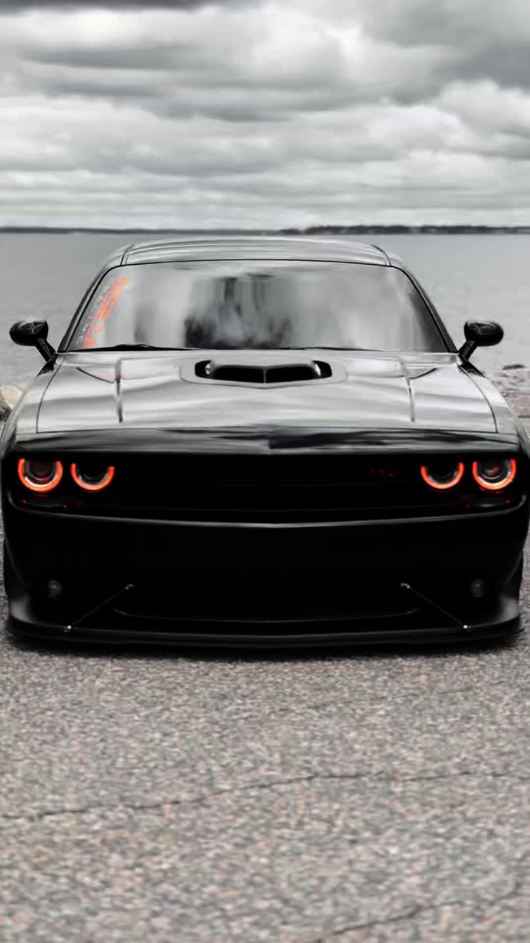 @Scatpack Bee 🐝