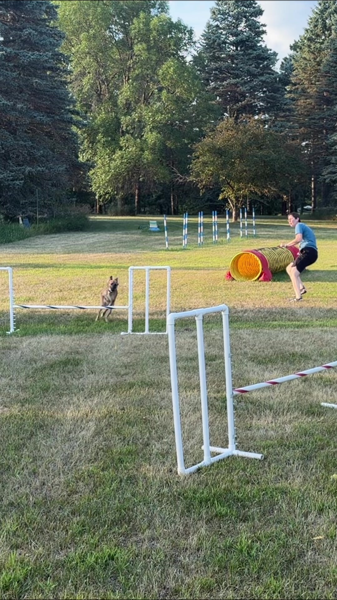 @Laura Waudby - Dog Sports
