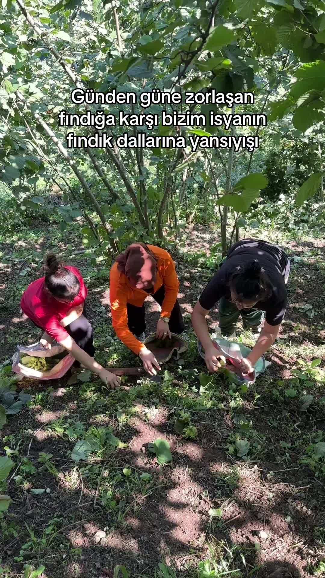 @Derya Çkr🌸🧿