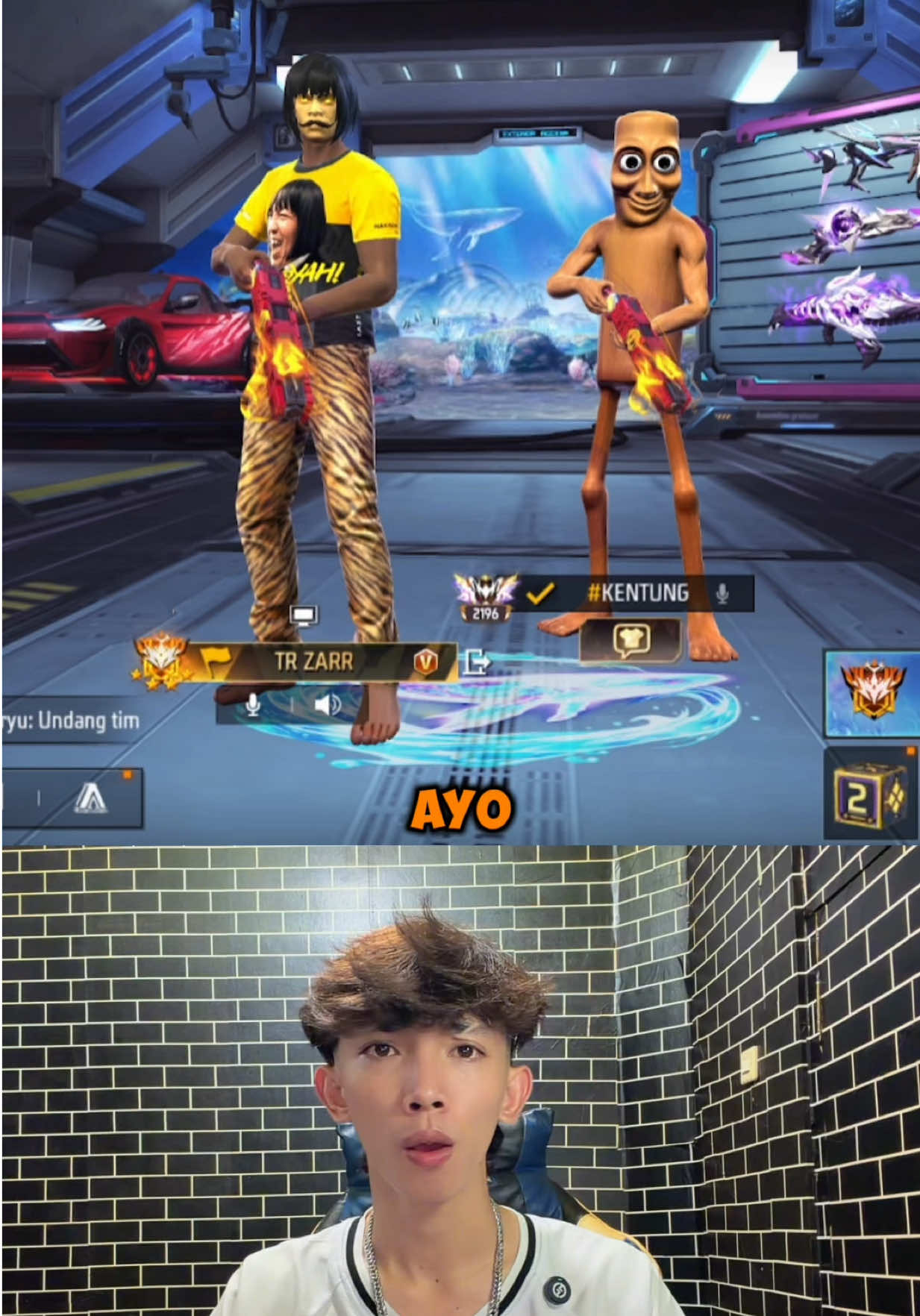 @ZARR